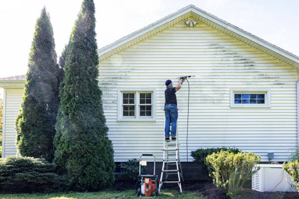 Best Driveway Pressure Washing  in Newkirk, OK